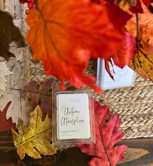 Fall Collection Wax Melts